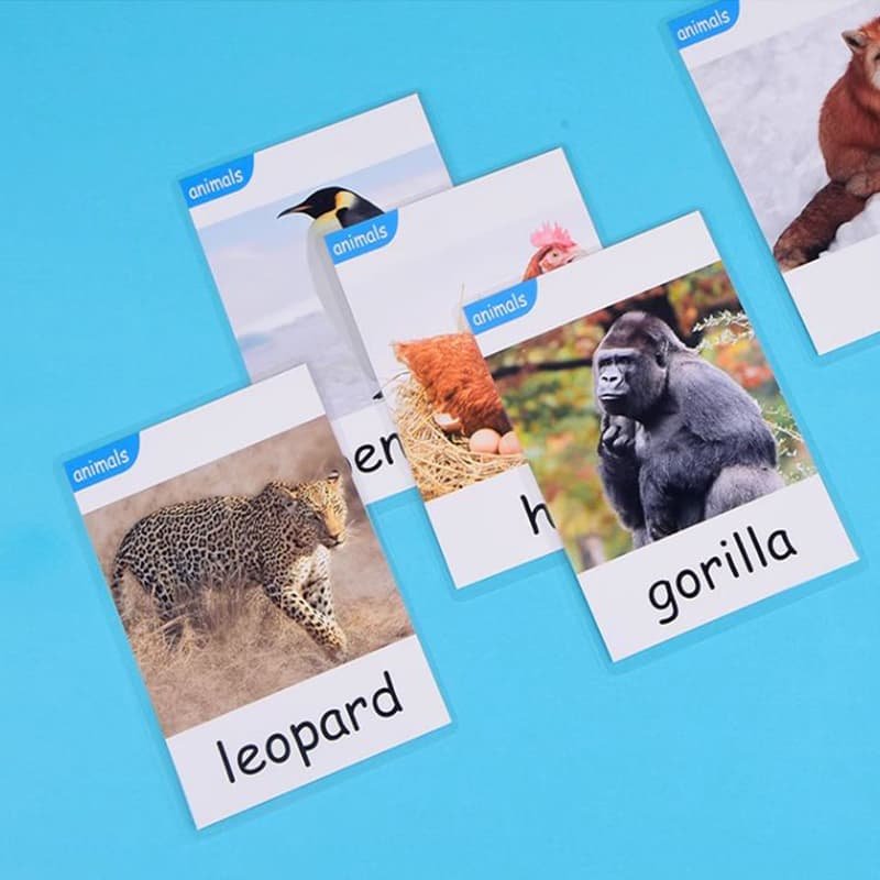 Customized Cards supplier