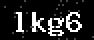verify code