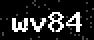 verify code
