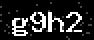 verify code