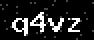 verify code