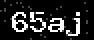 verify code