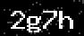 verify code