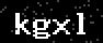 verify code