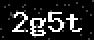verify code