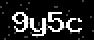 verify code