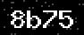 verify code