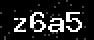 verify code