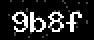 verify code
