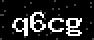 verify code