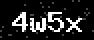 verify code