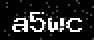 verify code