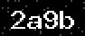 verify code