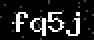 verify code
