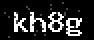 verify code