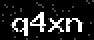 verify code