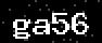verify code